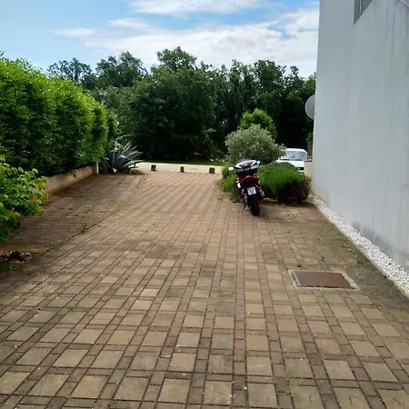 Medo Новиград