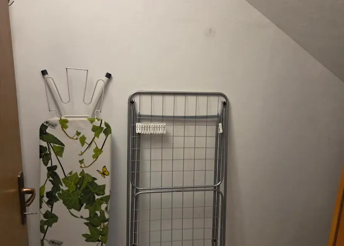 Medo Novigrad Istria