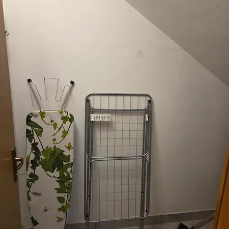 Medo Новиград